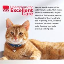 We will go through questions over the phone and then have you meet us at the front door. Pets And Vets As Partners Home Facebook