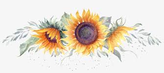 Sunflower Watercolor Hand Painted Transparent Free Watercolor Sunflower Transparency Png Transparent P Watercolor Sunflower Sunflower Drawing Sunflower Art