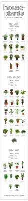 Plants need light to photosynthesize, certain plants only start flowering with the right amount of light, and others burn if they are in direct sunlight. Houseplants University Of Illinois Extension Plants Indoor Plants House Plants