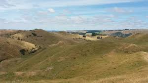 1,635 likes · 36 talking about this · 101 were here. Example Of Nz Hill Country Landscapes High Simplification With Low Download Scientific Diagram