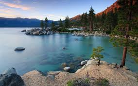 Lake tahoe's west shore includes homes from tahoe city's west side (from the intersection of highway 89), sunnyside, tahoe pines, homewood and tahoma, down to meeks bay and rubicon bay, near emerals bay and the desolation wilderness. 13 Best Lake Tahoe Airbnb Cabin Rentals 2021 Field Mag