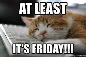 Maybe you would like to learn more about one of these? Its Friday Cat Memes