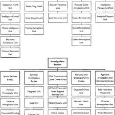 Organizational Chart Of The Njsp Investigations Branch After