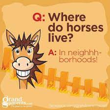 Made Me Smile Cute Jokes Funny Jokes For Kids Silly Jokes