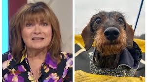 Lorraine Kelly issues warning to pet owners after beloved dog rushed to  emergency room
