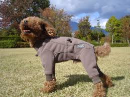 Finlands Dog Brand Fleece Overalls For Large Dogs