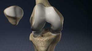 Two condylar joints between femur and tibia; Knee Pain And Problems Johns Hopkins Medicine