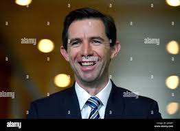 Minister for Education Simon Birmingham at a press conference at Parliament  House in Canberra, Thursday, June 15, 2017. (AAP Image/Mick Tsikas Stock  Photo