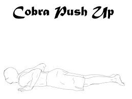 Animated Yoga Cobra Pose Push Up 500ms Martial Arts Workout Martial Arts Techniques Martial Arts