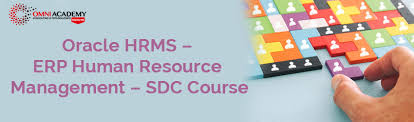 How much do oracle financials functional consultant jobs pay per year? Oracle Hrms Training Course Oracle R12 Hcm Training Course Omni Academy Karachi
