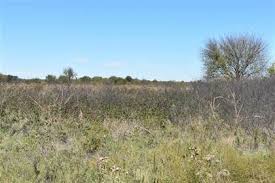 Maybe you would like to learn more about one of these? Nocona Tx Real Estate Homes For Sale Point2