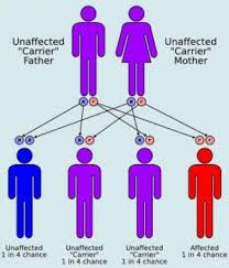 Image result for MCAD Deficiency