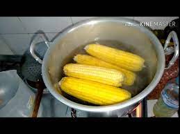 We did not find results for: Cara Merebus Jagung Agar Empuk