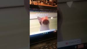 Instantly share code, notes, and snippets. How To Get Auto Clicker In Popcat Clicker 100 Real Youtube