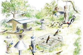 How To Attract Birds To Your Garden Discover Wildlife
