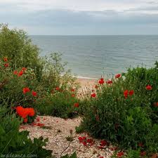 Apa are densitatea maxima la 4 grade celsius ; Cand PlouÄƒ In Vama Veche Iunie 2017 Aradeanca