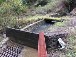 FIELD INVESTIGATION REPORT