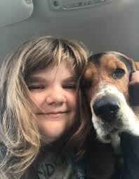 Lost mama and baby pig in Ector