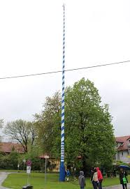 07:30 uhr bis 12:00 uhr. Maibaum Hausen 2015 Familiengemeinde Kirchheim B Munchen