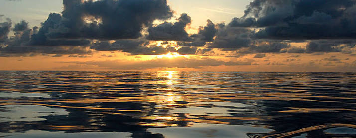 How much water is in the ocean?