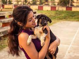 For instance, dog advocates in bengaluru are venturing outside to feed stray dogs. Stray Dogs Cute Furry Pooches Come To The Rescue Of Indians Feeling Lockdown Blues More People Adopt Strays The Economic Times