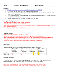 Dna mutation simulation worksheet answer key. 3 Peppered Moth Simulation Analysis Answers