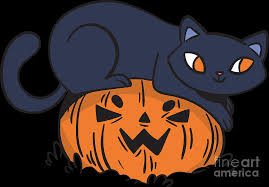 If you're looking for funny cat halloween costumes, check out these ideas. Cat Costume Pumpkin Jack O Lantern Spooky Halloween Digital Art By Haselshirt