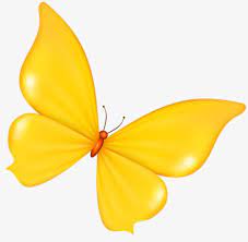 Yellow Butterfly Cartoon Butterfly Clip Art Cartoon Butterfly Yellow Butterfly