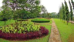 Jam ini sesuai dengan zona waktu setempat yakni waktu asia/jakarta. Taman Cattleya Mommies Daily