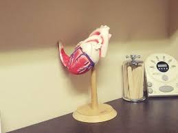 Danilo B Saldana, 993 Delaware Ave, Buffalo, NY 14209, US