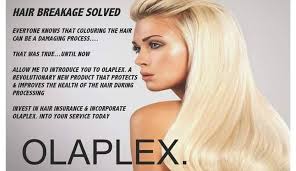 Search for the regis hair salons location nearest you and get salon hours, addresses, careers and more. Exquisite Hair Beauty Salon Home Facebook