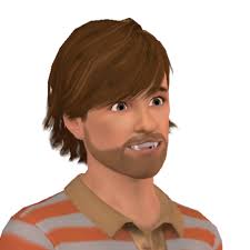 Image result for Argus Brown 2017 Q3