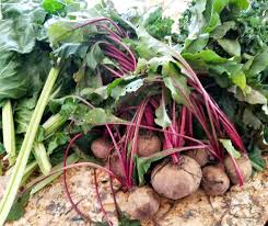 Sterilize jars and lids by immersing in boiling water for at least 10 minutes. How To Prepare Beets For A Tasty Healthy Experience