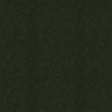 Image result for Camouflage Green Matte 2017 Audi