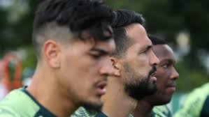 América-MG x Palmeiras: informações, estatísticas e curiosidades