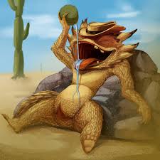 Rule 34