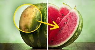When should you not eat watermelon? How To Pick A Perfect Watermelon Tips From An Experienced Farmer