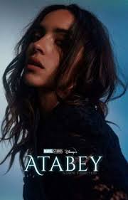 Vero12slfm's Reading List