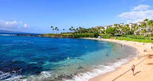 This is maui paradise by peter stahl on vimeo, the home for high quality videos and the people who love them. Maui Paradise Properties Maui Real Estate Maui Vacation Rentals Maui Paradise Properties Discover Maui