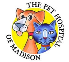 Find affordable care for your pets today. Virtual Tour The Pet Hospital Of Madison Madison Al