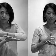 It was designed specifically for asl. Pdf Sign Languages In Their Historical Context