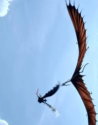 Image result for tbn:pj9xLJJxIQRlZM::wings.avkids.com/Book/Sports/Images/train.gif