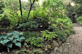 Juniper Level Botanic Garden Via Tony Avent And Plant Delights Nursery North Carolina Garden Nursery Botanical Gardens Perennial Plants