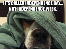 Pin On For The Love Of Dog Memes