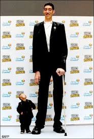 World S Tallest Man Meets The Earth S Shortest Pics 2 Tall Guys Tall People Giant People