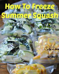 Freezing Summer Squash Becky S Best Bites Recipes Food Saver Canning Recipes