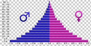 population pyramid demographic transition population age