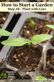 Even if you have a garden, you may find that keeping additional. How To Start A Garden 10 Steps To Gardening For Beginners