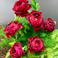 Are you allowed to send flowers to hospital? Brisbane Private Hospital Florist 0420 268 158