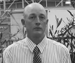 POLL DORSET SHEEP IN AUSTRALIA